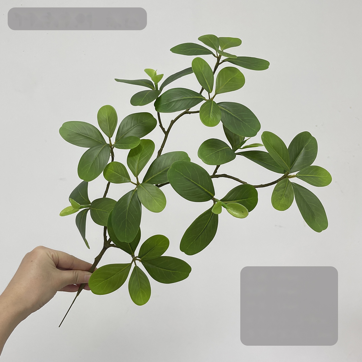Green Planitia Pittosporum Leaves · Green artificial flower stem