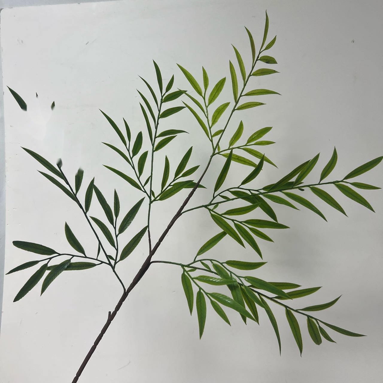 Natural Long-Branched Willow Leaves artificial flower stem